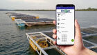 Tecnologia transmite dados da piscicultura para o celular em tempo real