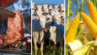 Carne bovina e milho são destaques na exportação brasileira