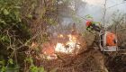 Com juros mais baixos, FCO Pantanal vai atender proprietários impactados pelos incêndios