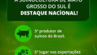Expogrande sedia 3&ordm; Encontro Lideranças da Suinocultura no dia 10 de abril