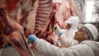 Exportações de MS chegam a US$ 4,28 bilhões em maio, com destaque para a celulose e carnes