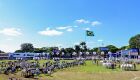 Vaca de Sidrolândia (MS) fica com título de Reservada Grande Campeã na Expozebu