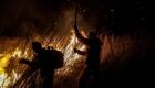MS lança edital do PSA Brigadas para fortalecer prevenção e combate a incêndios no Pantanal