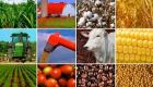 Preço ao produtor agropecuário sobe mais de 20% no 1&ordm; trimestre
