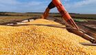 Produção de etanol de milho cresce no país e coloca MS entre os maiores produtores
