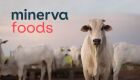 Receita bruta da Minerva sobre para R$ 11,9 bi no 1&ordm; trimestre 