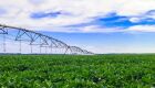 Irrigação impulsiona agricultura sustentável e coloca MS entre líderes na produção de grãos