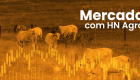 Ágio do bezerro em alta, o cenário ainda é positivo para compra?