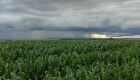 Sem El Niño e La Niña, produtores de MS enfrentam desafio no planejamento das atividades agrícolas