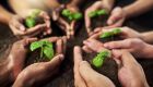 Cooperativismo agro cresce 276% em MS e impulsiona desenvolvimento rural