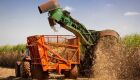 Produção de cana-de-açúcar na safra 2025/26 é atualizada para 668,8 milhões de toneladas