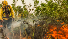 Brasil registra queda de 56,8% nos focos de calor e 61% nas áreas queimadas em julho