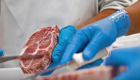 Participação dos principais exportadores mundiais de carne bovina em 2025
