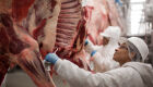 Brasil bate recorde de exportações de carne bovina in natura; receita está 50% acima de 2024