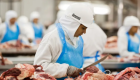 Exportação de carne bovina cresce quase 50% em Paranaguá