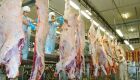 Carne aumenta de 11,2% para 15,9% a participação nas exportações