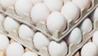 Brasil avança com a União Europeia e retoma sistema de pre-listing para comercialização de ovos