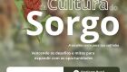 Série 'Seminários da Cultura do Sorgo' começa dia 26 de novembro em Maracaju (MS)