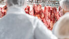 Ritmo de embarques de carne bovina continua surpreendendo
