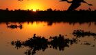 O isolamento que não perdoa vidas no Pantanal de Paiaguás