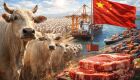 Camex adia análise de cota de exportação de carne à China