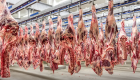 Plano prevê divisão de cotas de exportação de carne para a China até setembro