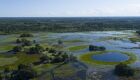 Pantanal reduz desmatamento em 48%, mostra o Mapbiomas