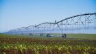 Irrigação transforma produtividade e garante mais segurança ao produtor rural