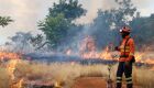 Bombeiros de MS se preparam para temporada de incêndios florestais com treinamentos e ações em campo