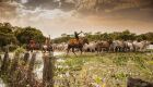Pantanal recebe Fórum da Pecuária Sustentável para debater os desafios e oportunidades do setor