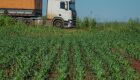 Estudo analisa os impactos da infraestrutura logística sobre a produção agrícola de MS