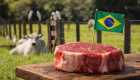 Embarques de carne bovina brasileira para os EUA têm forte avanço em julho/26