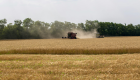 Recursos para a agricultura empresarial somam R$ 28,2 bi no primeiro mês da safra 2026/2027