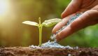 Com mais de 80% dos fertilizantes importados, Brasil aprova programa para ampliar produção nacional
