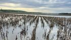 Entidades do agro cobram celeridade na operacionalização da MP das dívidas rurais