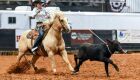 MS Equestre e Breakaway MS promovem workshop para apresentar modalidade feminina na Expoequestre