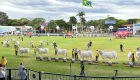 ACNB abre inscrições para a 55ª Expoinel, em outubro, em Uberaba