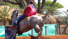 4ª Expoequestre MS reúne 12 mil pessoas e mais de mil inscrições em provas equestres