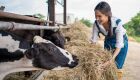 Agro bate recorde histórico de empregos no 2° trimestre de 2026