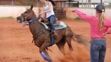 Curso de três tambores com Shannon Kerr