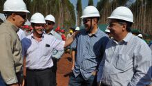 Rancho Caimã inicia corte de eucaliptos em Campo Grande