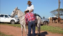 Cavalgada da Expogrande percorre 9 km no campo