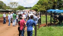 Dia de Campo na Fazenda Cachoeira São Sebastião