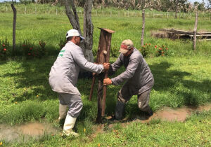 Construir cercas ficou mais fácil com um novo modelo manual