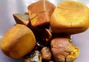 Funcionário de frigorífico é preso por furtar 'pedras de fel' avaliadas em US$ 20 mil