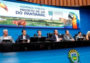Governo prevê aporte inicial de até R$ 50 milhões para Fundo do Pantanal