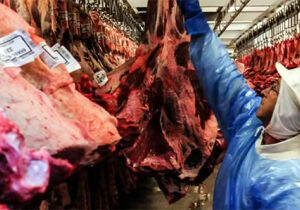 China habilita 38 frigoríficos brasileiros para exportar carne