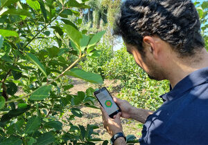 Plataforma Ater+ Digital disponibiliza conteúdos on-line para técnicos extensionistas