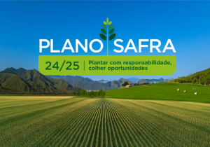 Governo Federal lança Plano Safra 24/25 com R$ 400,59 bilhões para agricultura empresarial