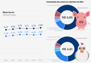 Custos de produção de frangos de corte e de suínos sobem em setembro, mostra Embrapa